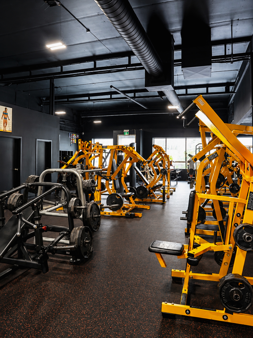 Gym floor