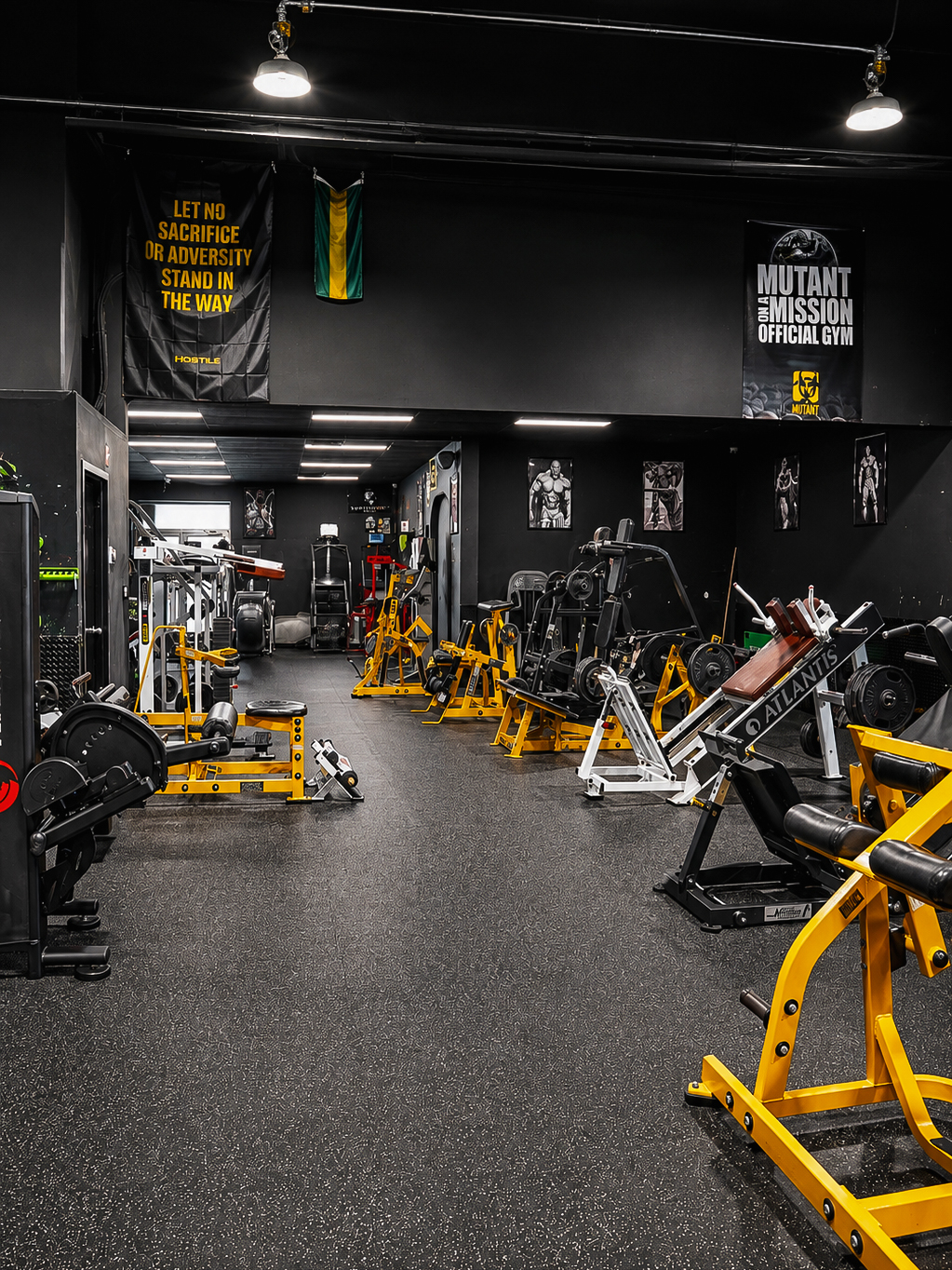 Gym floor wide